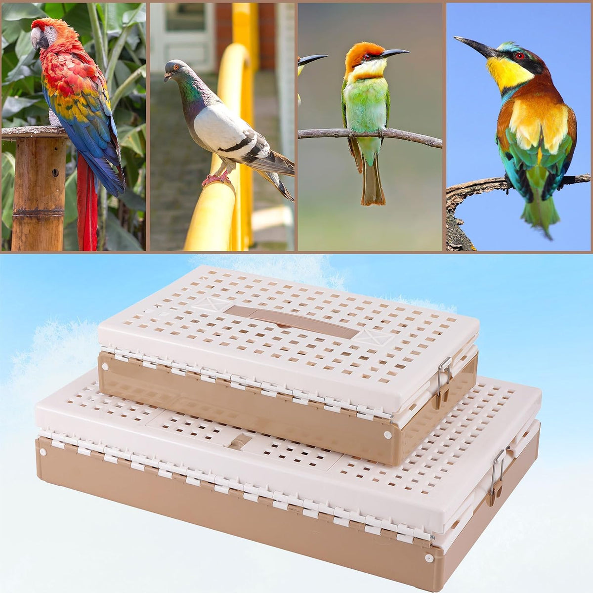 Plastic Foldable Pigeon Cage with Handle, S, Two Doors – Essentials for Birds - 16.9"L x 11.0"W x 9.4"H - image 4