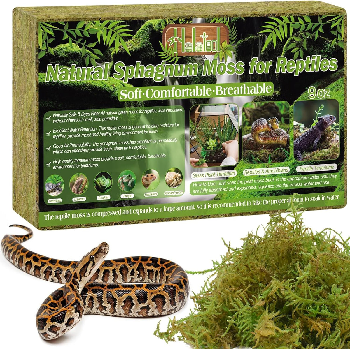 9 OZ Sphagnum Moss for Reptiles, Green Terrarium Moss - 9OZ