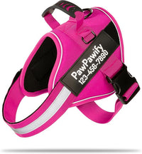 PawPawify Custom No Pull Dog Harness with Name and Phone Number, Heavy Duty Personalized Pet Vest to Prevent Tugging, Pulling, or Choking, Training and Walking (New Pink, XS (5-9LBS))