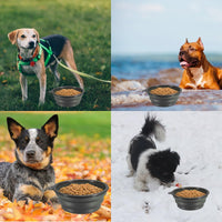 2-Pack Extra Large Size Collapsible Dog Bowl - Small / Black and Black - image 4