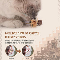Catnip Silvervine Sticks for Cats | Silver Vine Chew Toy or Cat Chew Stick | Kitten Teething Toys | Cat Dental Chew with Cat Raffia Grass for Healthy Teeth & Digestion | Silvervine Cat Toy | 2 Sticks