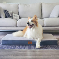Washable Orthopedic Large Dog Bed with Removable Cover - Grey / 36.0"L x 27.0"W x 3.0"Th - image 2