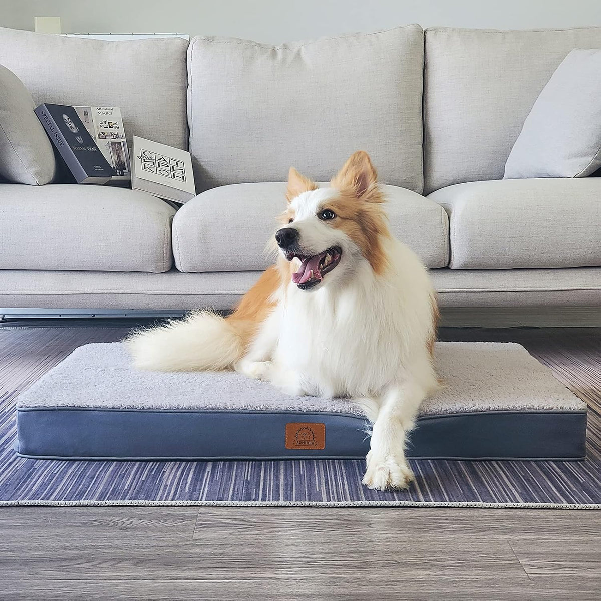 Washable Orthopedic Large Dog Bed with Removable Cover - Grey / 36.0"L x 27.0"W x 3.0"Th - image 2