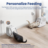 Automatic Microchip RFID Cat Feeder, 16-Cup - White - image 4