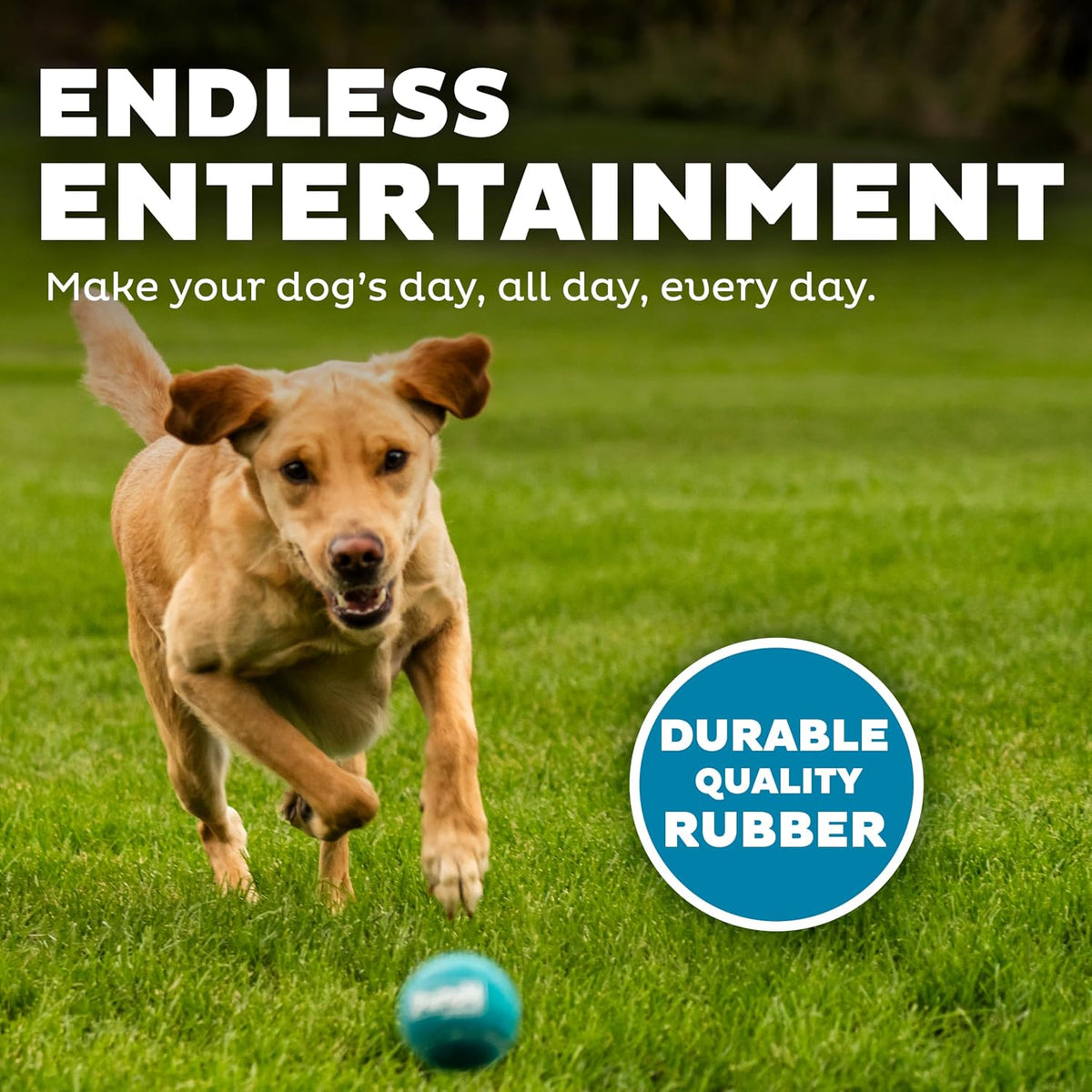 Outward Hound Squeaker Ballz Tennis Ball Dog Toy, 2.5", 4‑Pack - Multi Squeaker Balls / Medium / 4-Pack - image 4