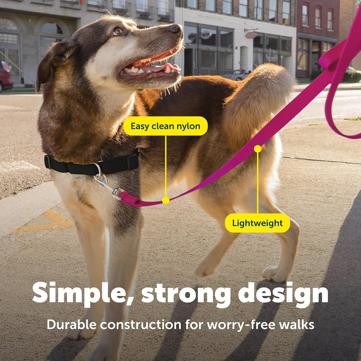 PetSafe Nylon Dog Leash, Strong, Durable - 3/4 in. x 4 ft. / Purple - image 4