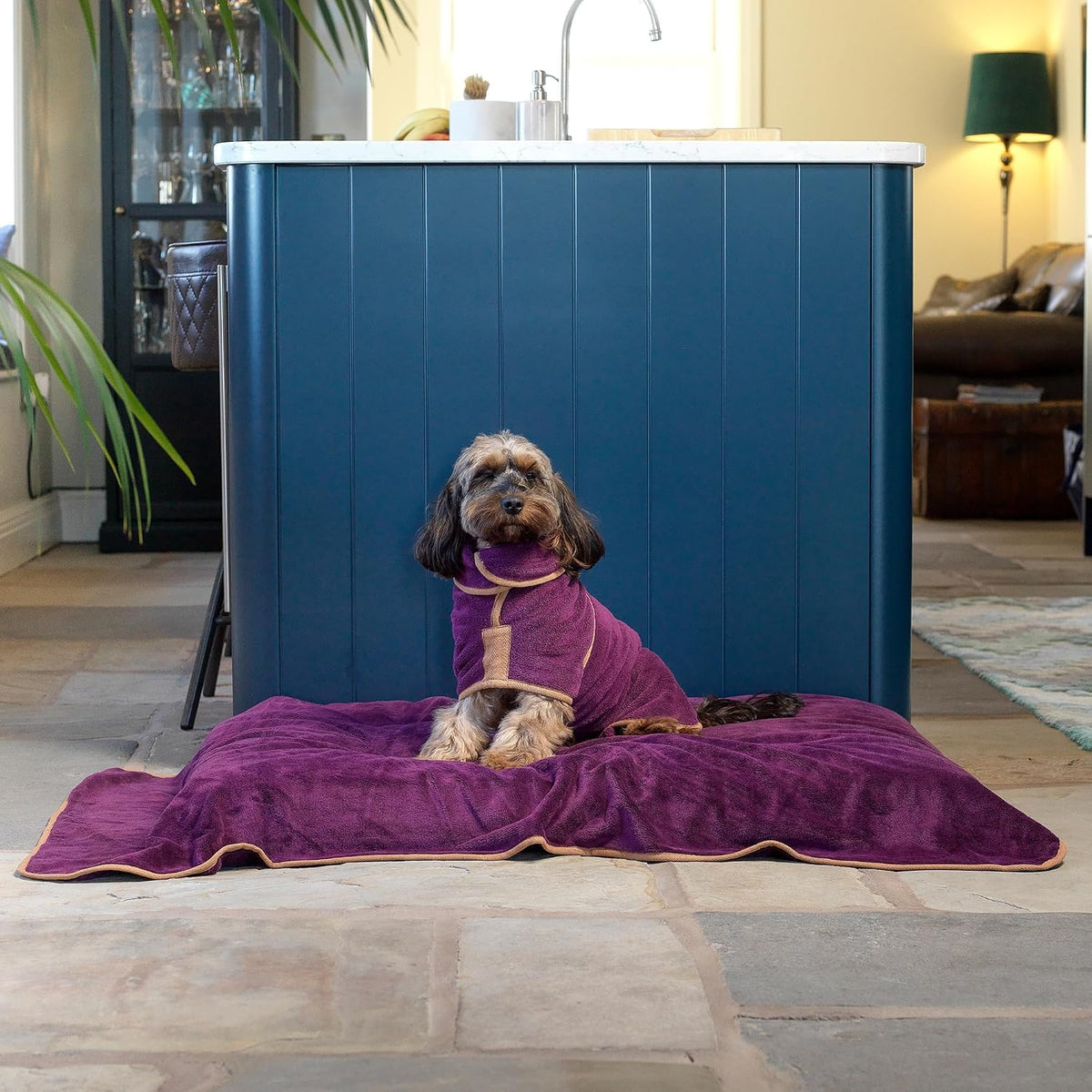 Lucky Pooch Dog Robe, Luxurious Dog Bathrobe - XL / Plum - image 2