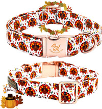Elegant little tail Fall Dog Collar - Turkey / X-Small (Pack of 1) - image 3