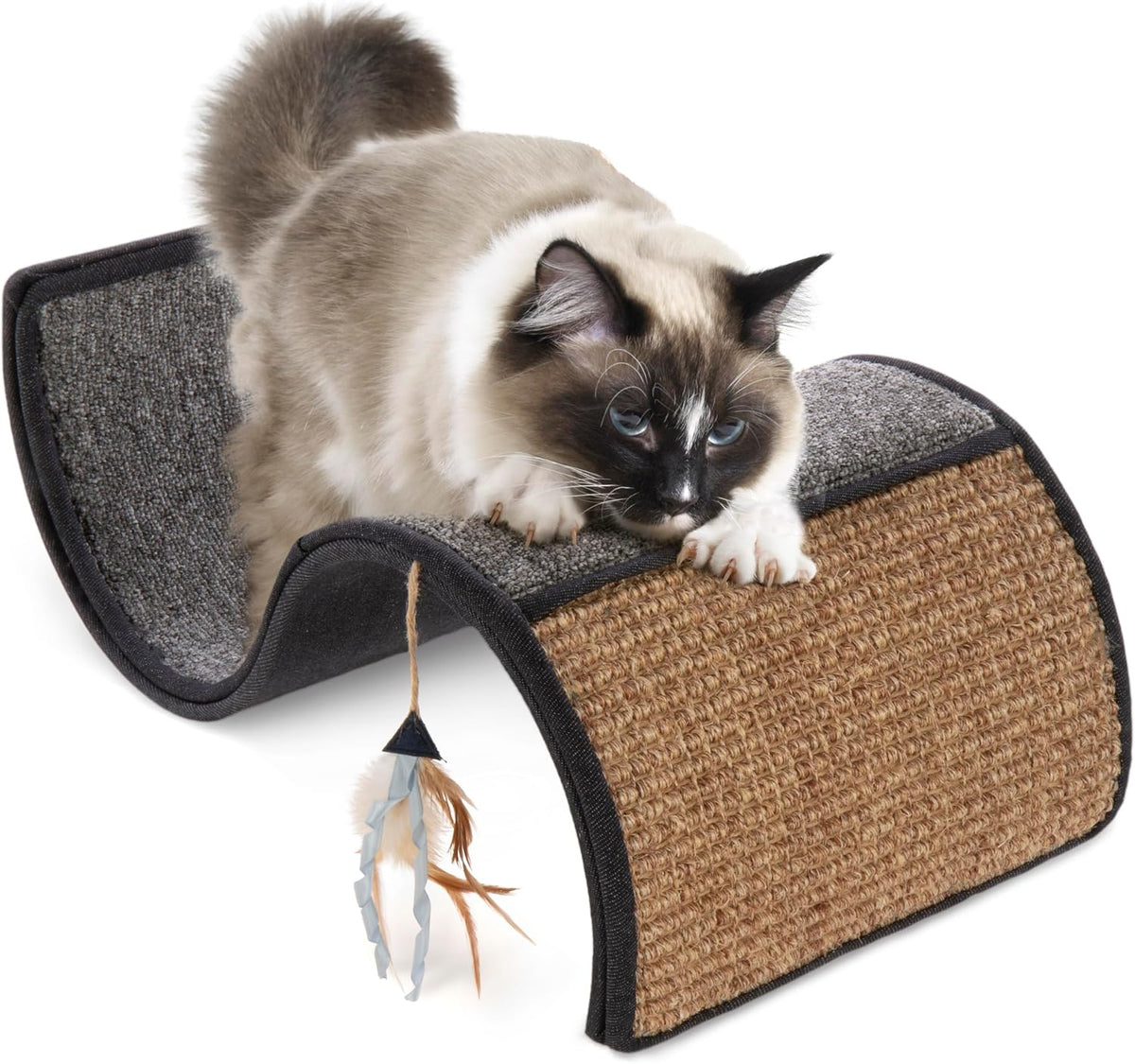 Petlinks Dream Curl Carpet Cat Scratcher