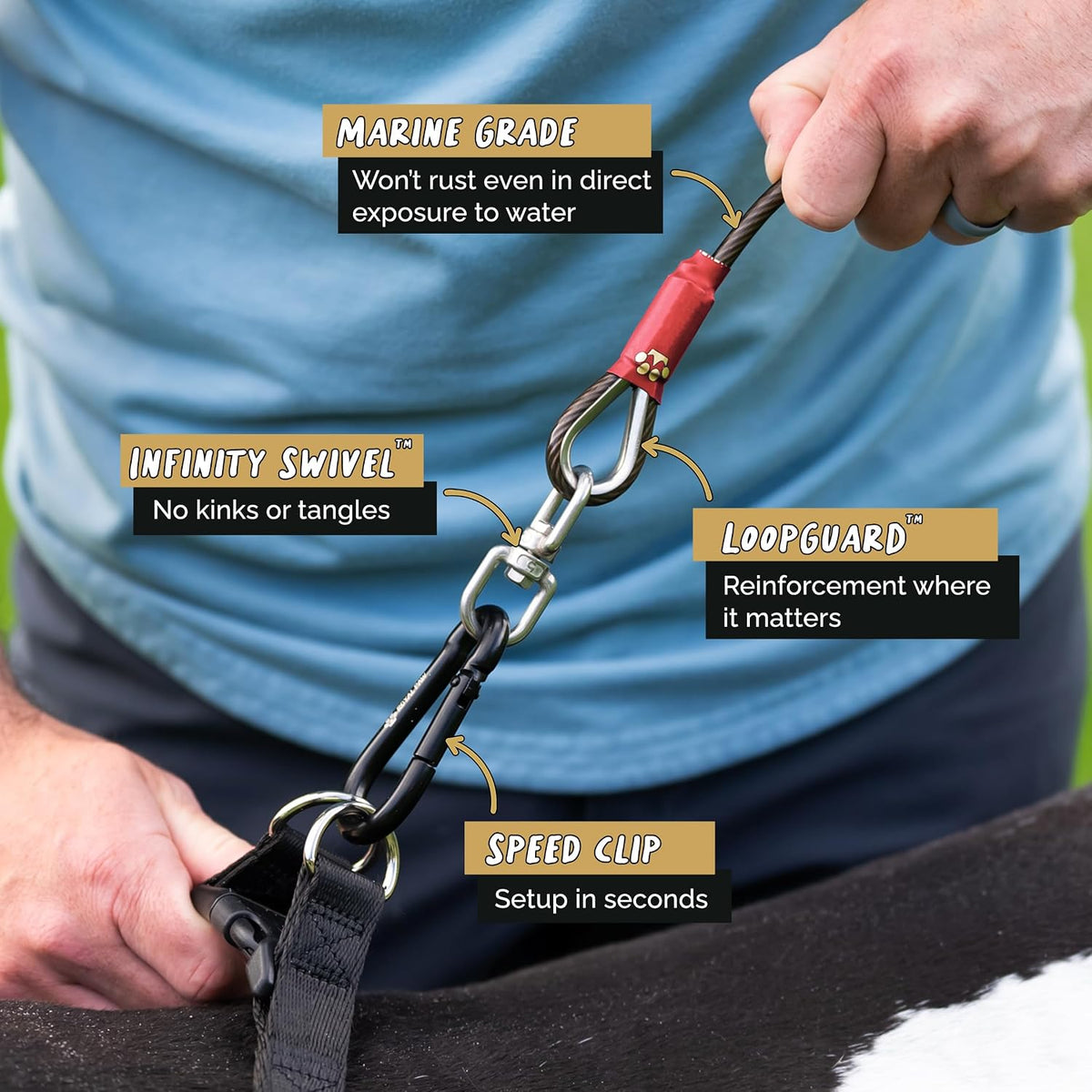 ROYAL PAW 30 ft dog tie out cable and stake in black for large dogs - view 3