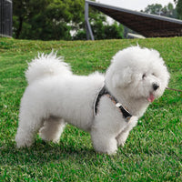 Hipubby Dog Harness Small Sized and Leash Set - Black/Khaki Trim / XXS (Chest: 11"-12.5") - image 2