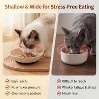Ceramic Cat Food Bowls 6 Pack - Solid - Pads Attached - image 3