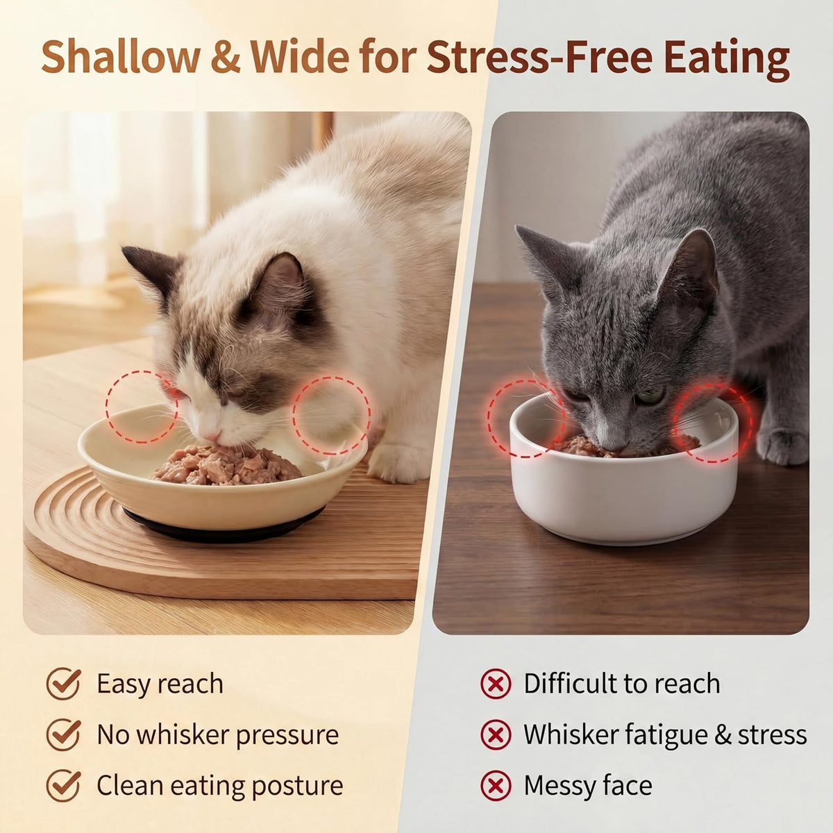Ceramic Cat Food Bowls 6 Pack - Solid - Pads Attached - image 3