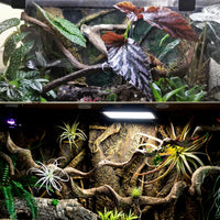 Reptile Decor 3PCS Natural Forest Branch Terrarium Habitat Decoration - XL: 3PCS (16IN) - image 4