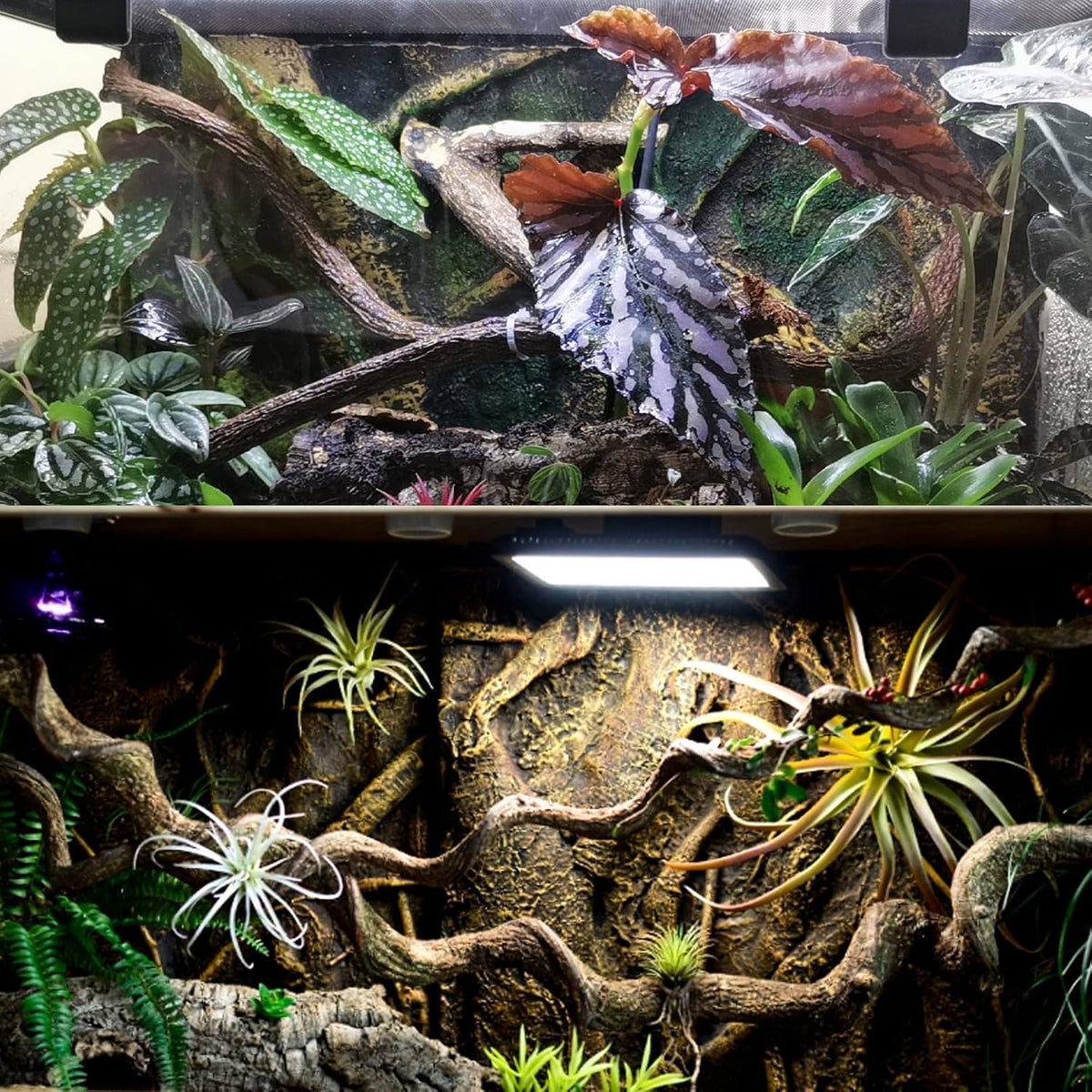 Reptile Decor 3PCS Natural Forest Branch Terrarium Habitat Decoration - XL: 3PCS (16IN) - image 4