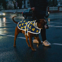 Dog Raincoat, Waterproof Dog Rain Jacket with Hood - Navy Blue Duck / Small - image 2