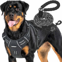 Beebiepet Tactical No Pull Dog Harness with Leash - Black / Large