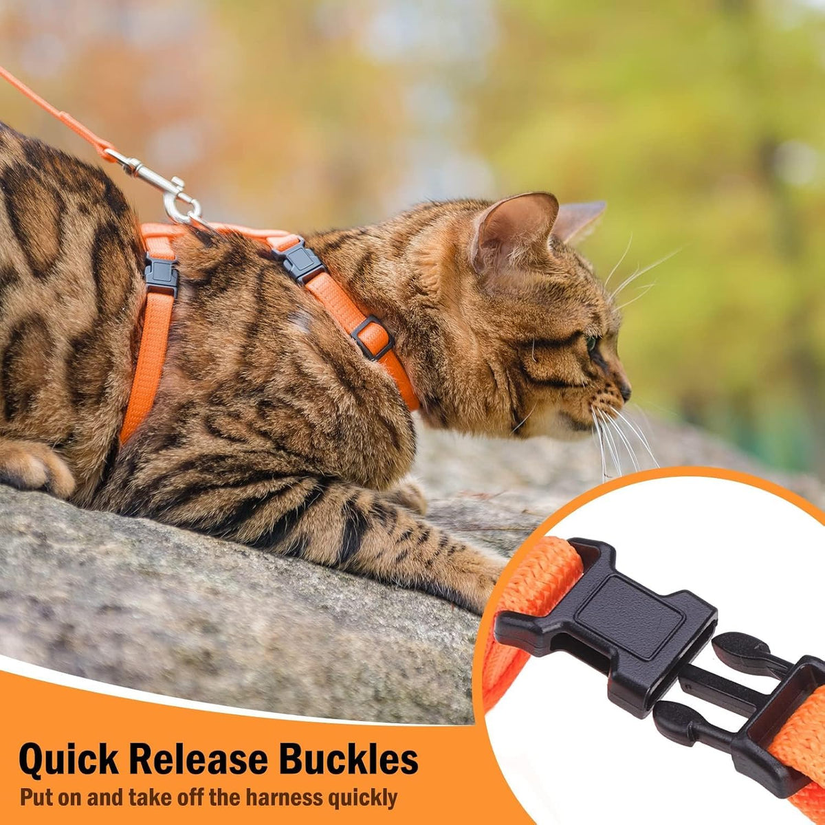 PUPTECK Adjustable Cat Harness and Leash Set Escape Proof Kitten - Medium / Orange - image 3