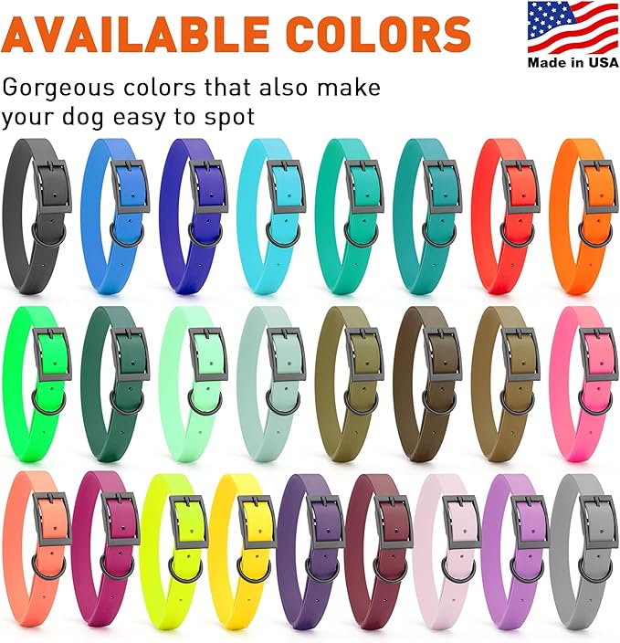Dogline Biothane Waterproof Dog Collar Strong Coated Nylon Webbing with Black Hardware Odor- Proof for Easy Care Easy to Clean High Performance Fits Small Medium or Large Dogs, Cerulean Blue
