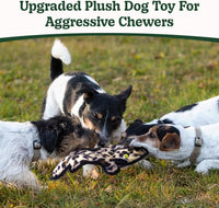 No Stuffing Dog Toys Crinkle Squeaky - Assorted 5 Pack / Small - image 2