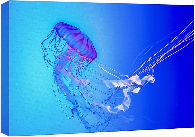 wall26 Canvas Print Wall Art Vibrant Neon Blue Pink Jellyfish Deep Sea Nature Animals Photography Realism Rustic Scenic Landscape Wilderness Earth Colorful for Living Room, Bedroom, Office - 24"x36"