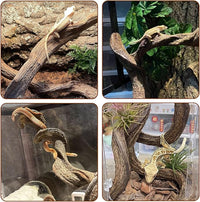 BNOSDM 3 Pcs Reptile Climbing Branches Decor,Snake Climbing Branch,Gecko Climb Wood,Lizard Forest Branch,Tank Habitat Tree Trunk Decorations for Bearded Dragons,Chameleons,Spider,Frogs (S)