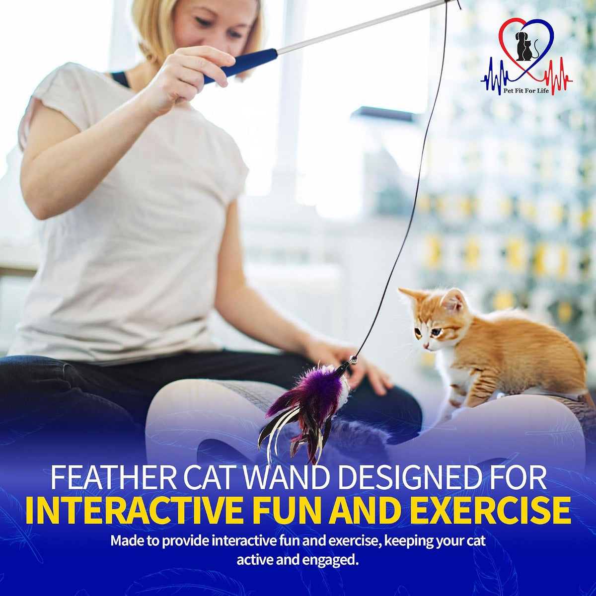 Pet Fit For Life Cat Feather Interactive Wand Toy Set - Wand + 2 Feathers, Red/Pur - image 4