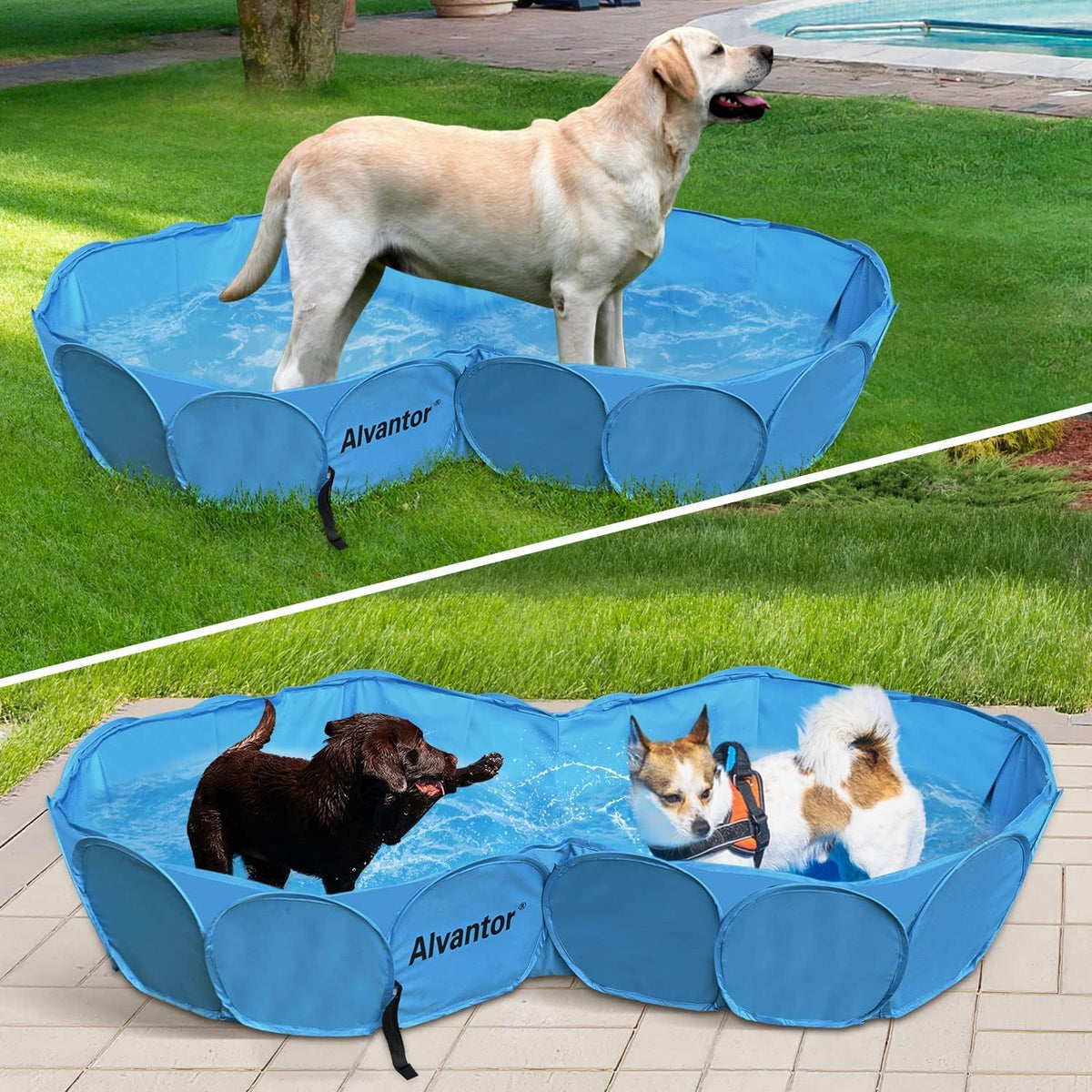 Alvantor Pet Swimming Pool, Foldable - Blue / 63"x12" 2in1
