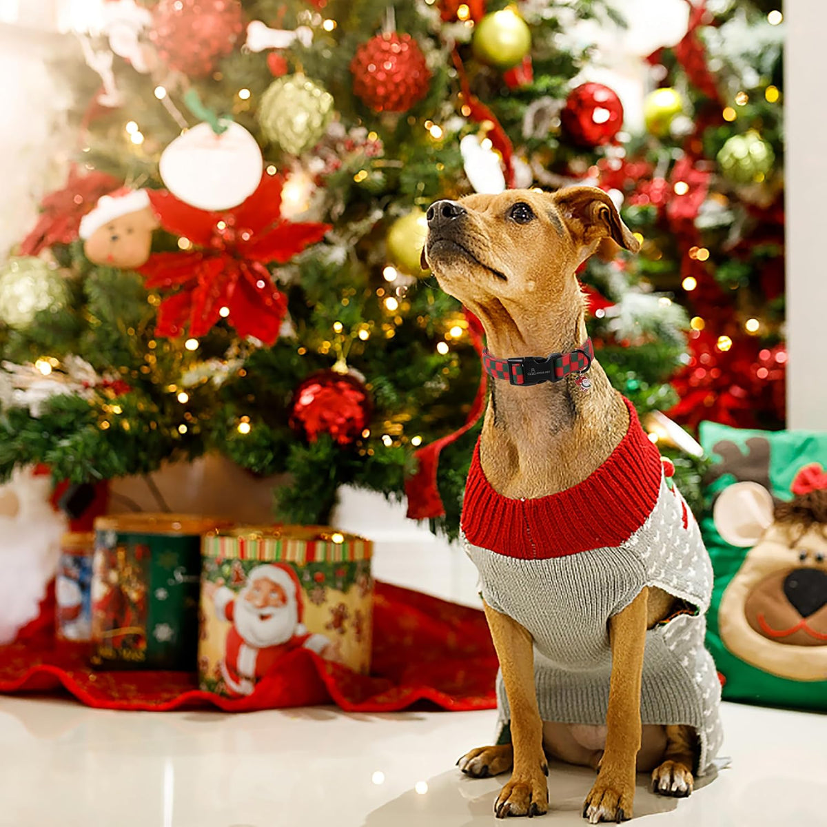 ARING PET Fall Dog Collars - Large / Christmas Red Green Checkered - image 4