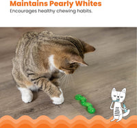 Catstages OrkaKat Wiggle Worm Dental Cat Chew Toy with Catnip - Wiggle Worm / One Size (Pack of 1) - image 4