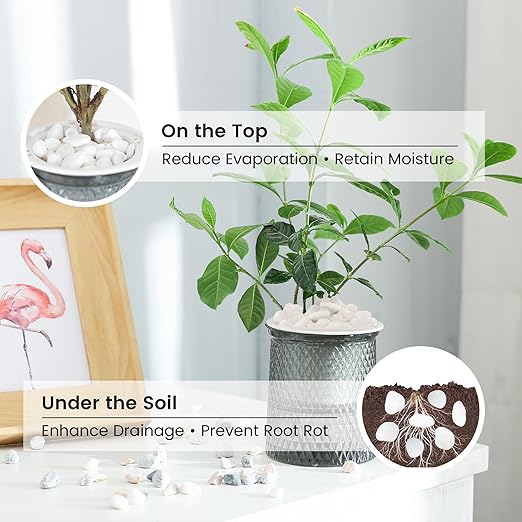 SIDONG 10 LB White River Rocks, 0.4-1.2 Inches Matte Pebbles for Indoor Plants, Aquarium Rocks Used in Fish Tank, Decorative Stones for Plants, Vases, Home Décor, Crafting, Garden Landscaping