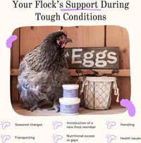 Grubbly Farms Vitamins + Electrolytes Water Supplement for Chickens (30 Day)