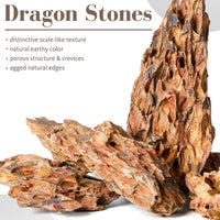 6.1-8.1 Inches Natural Dragon Stone, Terrariums - 2.2-8.1 in - image 2