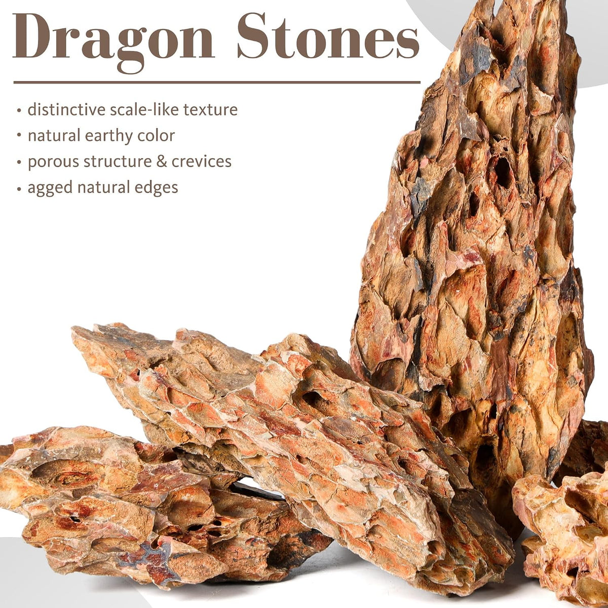 6.1-8.1 Inches Natural Dragon Stone, Terrariums - 2.2-8.1 in - image 2