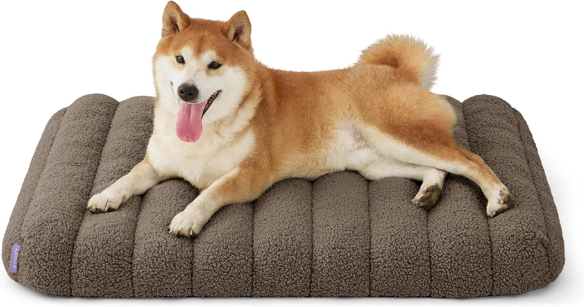 LE SURE Cute Orthopedic Dog Bed Large Sized Dog, Flat Pet Mat - 30"L x 20"W x 4"Th / Brown