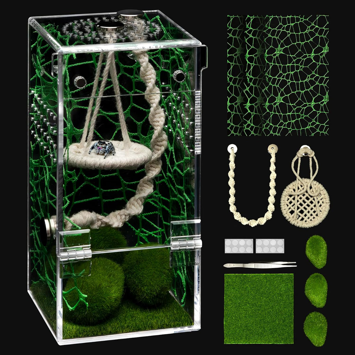 AZV Jumping Spider Enclosure Kit - Green / Small