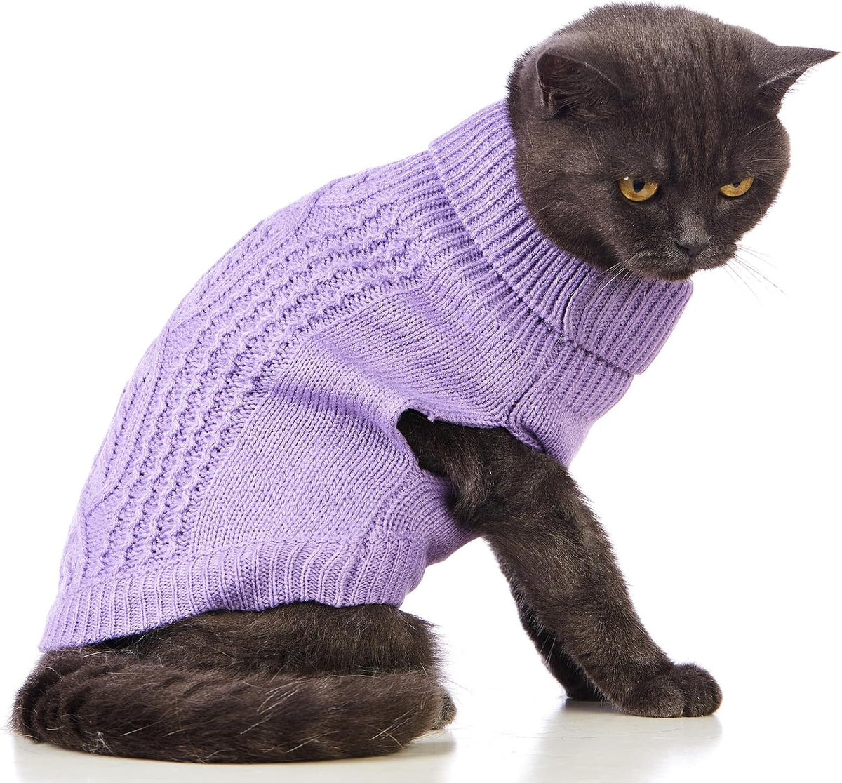 Cat Sweater Stretchy, 19 Colors, 6 Sizes - Purple / Large / Vest - image 2