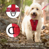 Kurgo Enhanced Strength Tru-Fit Smart Harness - Black / Small - image 3