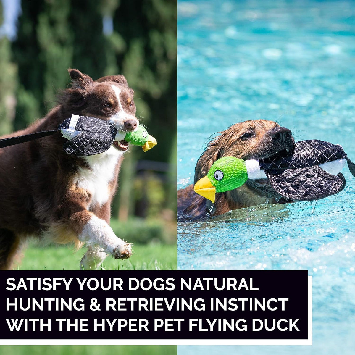 Hyper Pet Fetching Dog Toys - Large / Duck Slingshot - image 4