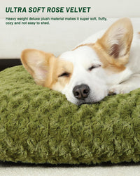 KSIIA Washable Dog Bed Medium Size Dog Crate Bed Plush Pet Mat - Green / 23.0"L x 18.0"W x 3.0"Th - image 2