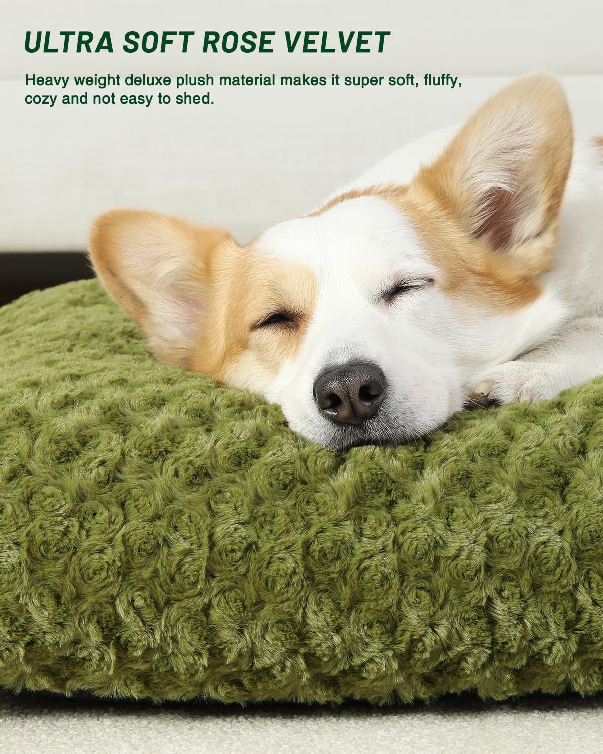 KSIIA Washable Dog Bed Medium Size Dog Crate Bed Plush Pet Mat - Green / 23.0"L x 18.0"W x 3.0"Th - image 2