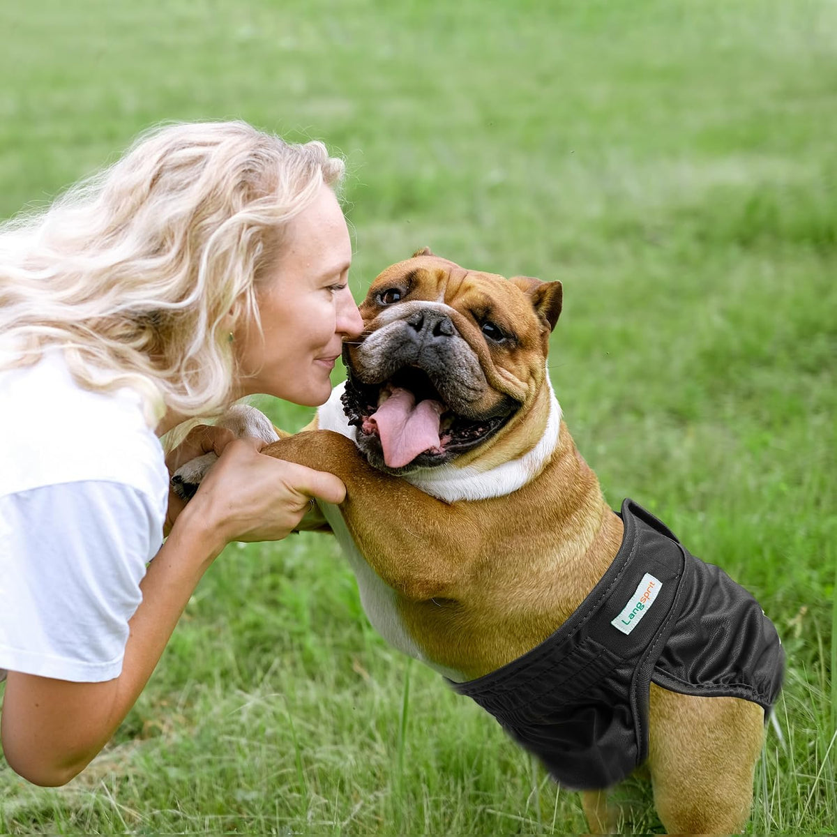 Langsprit Frenchie Female Dog Diapers No Tail Hole - Medium / Pink,Green,Black - image 2