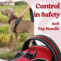 rabbitgoo Dog Harness for Large - Red / Large - image 4
