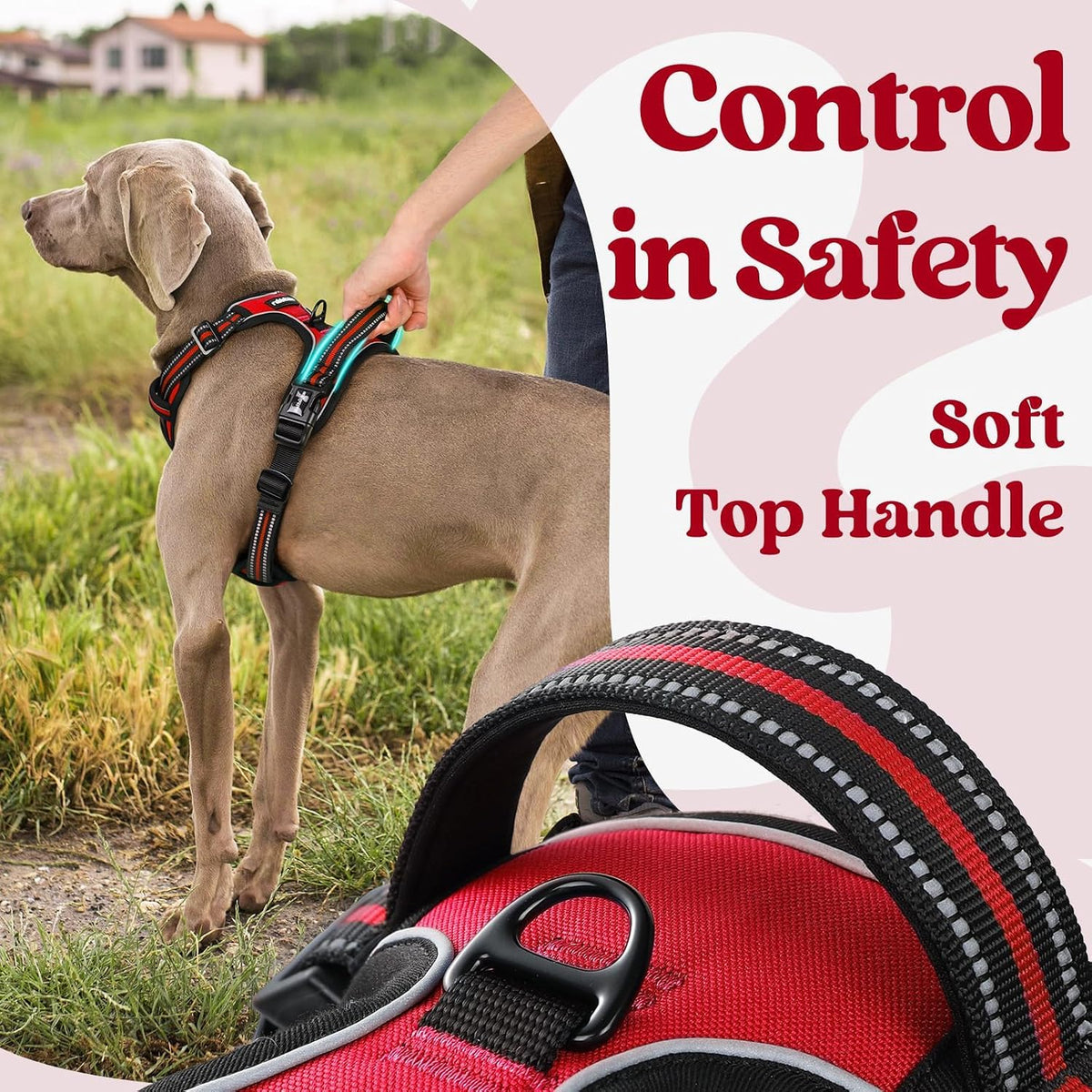 rabbitgoo Dog Harness for Large - Red / Large - image 4