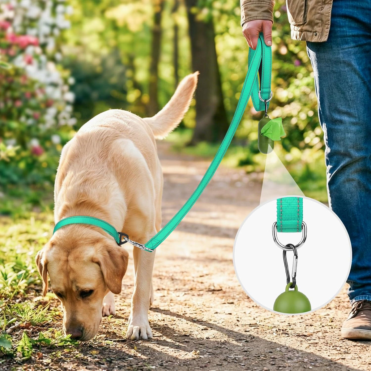 Joytale Reflective Dog Leash for Medium & Large Dogs - 6 ft Narrow / Teal - image 2