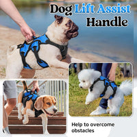 rabbitgoo Escape Proof Dog Harness for Large - Blue / Small - image 3