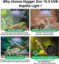 UVB Light for Reptiles with Dimming - Black / 6W-Balck - image 3