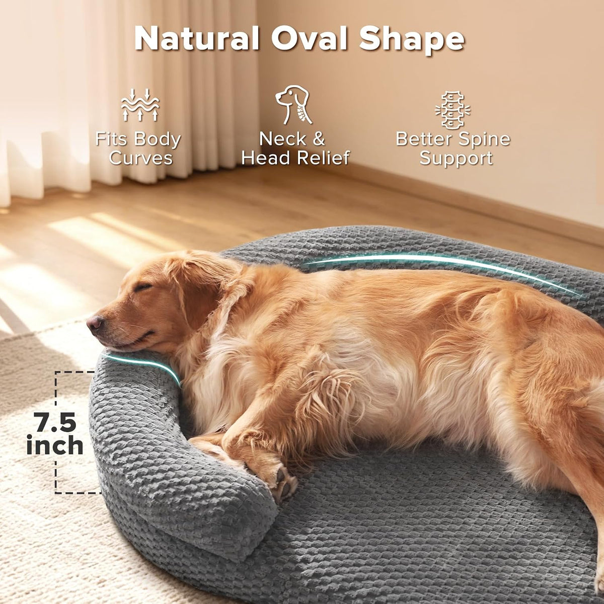 JOEJOY XL Orthopedic Dog Beds Large Sized Dog - Dark grey / XXL(48"x 35"x 7.5") - image 3