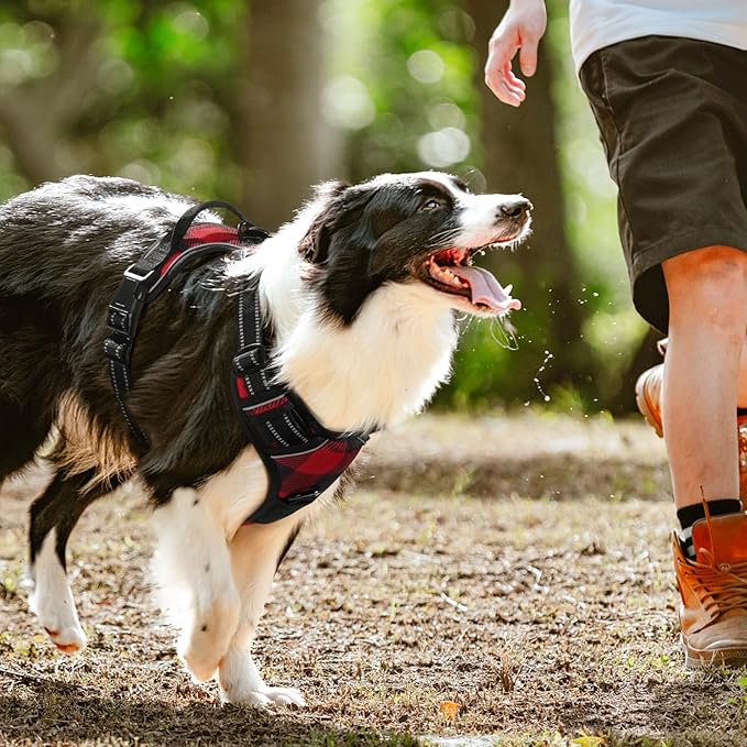 rabbitgoo Dog Harness No Pull with 2 Leash Clips, Adjustable Soft Padded, Reflective Oxford No Choke Pet Vest with Easy Control Handle for Small Dogs, Red Plaid, S