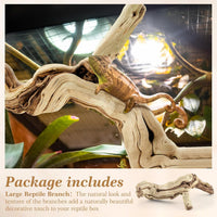 Janinka 14-17" Large Reptile Driftwood Branch for Bearded Dragon Gecko - 14-17" - image 3
